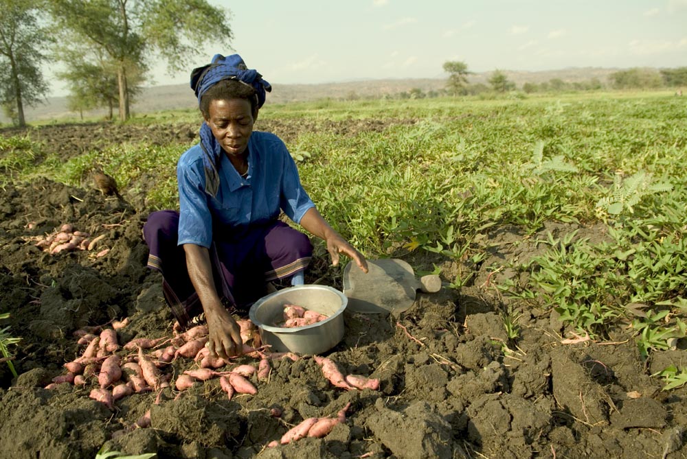 Assessing And Building Climate Change Resilience In Smallholder Farm ...